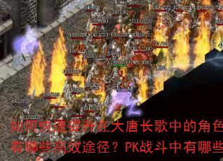 如何快速提升在大唐长歌中的角色等级?装备获取有哪些高效途径?PK战斗中有哪些实用技巧? 如何快速提升在大唐长歌中的角色等级?装备获取有哪些高效途径?PK战斗中有哪些实用技巧?