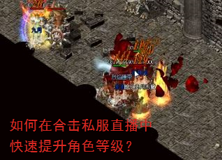 如何在合击私服直播中快速提升角色等级? 如何在合击私服直播中快速提升角色等级?