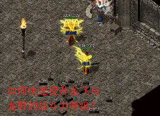 如何快速提升龙飞与龙野的战斗力等级? 如何快速提升龙飞与龙野的战斗力等级?