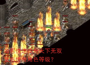如何快速提升天下无双复古传奇角色等级? 如何快速提升天下无双复古传奇角色等级?