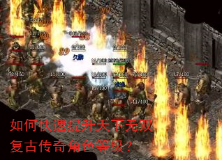 如何快速提升天下无双复古传奇角色等级? 如何快速提升天下无双复古传奇角色等级?