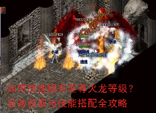 如何快速提升至尊火龙等级?装备获取与技能搭配全攻略 如何快速提升至尊火龙等级?装备获取与技能搭配全攻略