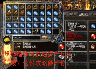 想知道如何快速提升角色等级?这份攻略能帮你。 想知道如何快速提升角色等级?这份攻略能帮你。