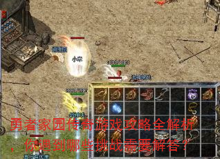 勇者家园传奇游戏攻略全解析,你遇到哪些挑战需要解答? 勇者家园传奇游戏攻略全解析,你遇到哪些挑战需要解答?
