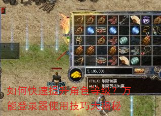 如何快速提升角色等级?万能登录器使用技巧大揭秘 如何快速提升角色等级?万能登录器使用技巧大揭秘