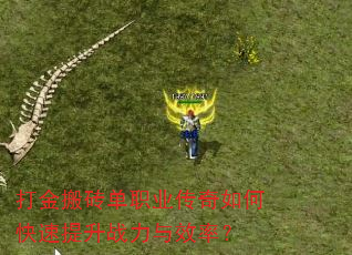 打金搬砖单职业传奇如何快速提升战力与效率? 打金搬砖单职业传奇如何快速提升战力与效率?